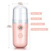 Portable Nano Facial Mist - Handy Steamer for Hydrating and Mist Hand Eyelash Extensions - 30ml USB Mist Handy Steamer for Facial Hydrating